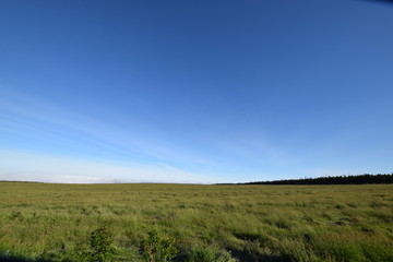 北海道　美瑛　牧場風景
