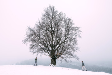 Young pretty pair of lovers. Winter. Date. A pair of lovers on a date in the mountains.