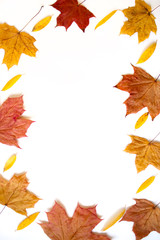 Naklejka na ściany i meble Autumn frame with leaves on white background