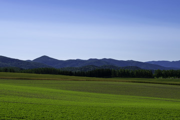 北海道の風景