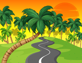 Fototapeta na wymiar Palm forest and empty road
