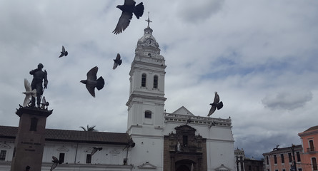 Kirche - St. Franziskus - mit fliegenden Tauben