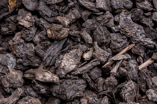 brown coal