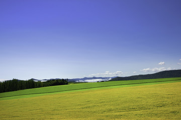 南富良野の風景