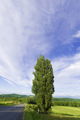 北海道　美瑛　ケンメリ