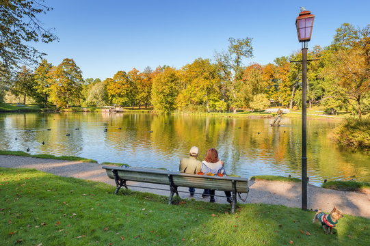 Happy elderly couple are resting on the wooden bench in a city public park, autumn, Europe - Powered by Adobe
