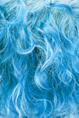 chevelure bleue 
