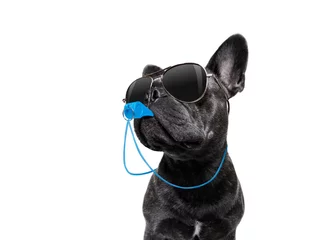 Selbstklebende Fototapete Lustiger Hund Schiedsrichterhund mit Pfeife