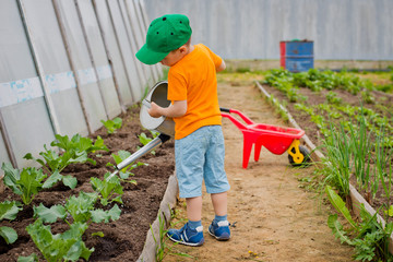 child watering the garden