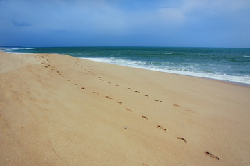 Footprints on sea shore