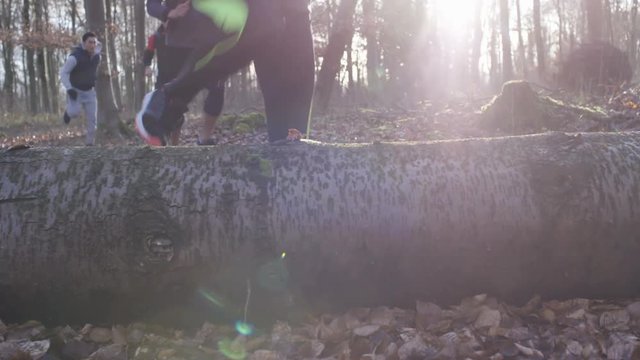 Group of runners running in forest, climbing and jumping over fallen trees.
