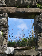 Grasses and blue sky seen through the window of an abandoned croft house near Rubha an Dunain, Isle...