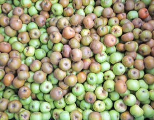 green organic apples in the box for sale in the wholesale market