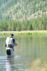 Obraz na płótnie Canvas Fly-fisherman fishing in Madison river, Yellowstone Park