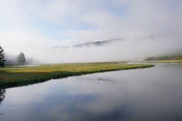 View of the Madison river, Yellowstone national Park