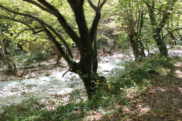 Pozar Thermal Baths near Edessa Greece Europe