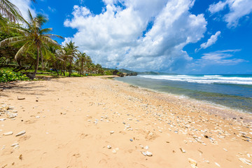 Rock formation on the beach of Bathsheba, East coast of  island Barbados, Caribbean Islands - travel destination for vacation