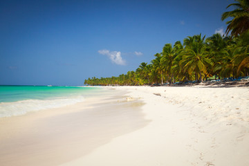 Dominican republic