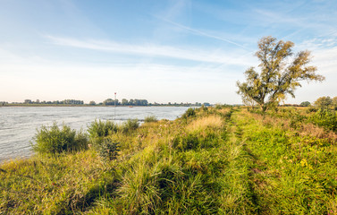 On the banks of a wide Dutch river