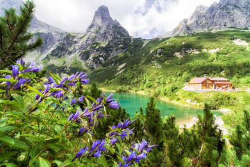 Mountain cottage in High Tatras, Slovakia - obrazy, fototapety, plakaty