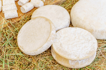 Typical italian cheese head