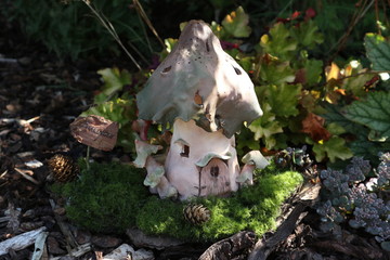 Fairy House 