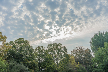 stormy clouds over tree line forrest with blue and red sky