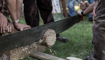 woodcutter village festival, competitors cut the trunk with a hand saw.