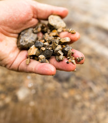 Small stones in the hand on the pond