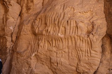Algeria Sahara