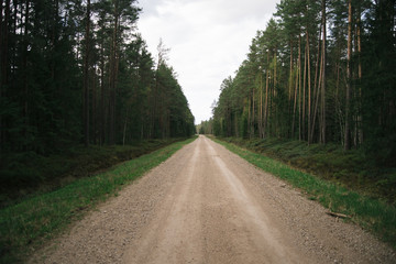 Country Road through the Forest - 174468450