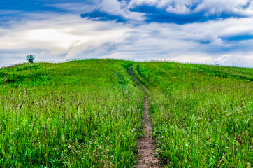 An uphill country road in tall grass in Altai Mountains, Kazakhstan, on overcast summer day