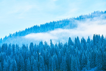 Ski resort, ski slope, ski lift, pine trees and fog mountains panorama