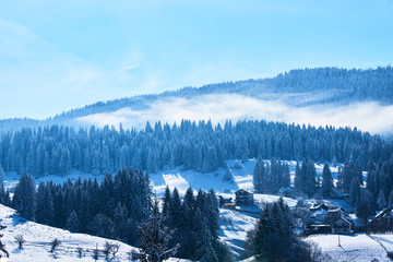 Ski resort, ski slope, ski lift, pine trees and fog mountains panorama