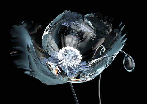 poppy with radiate stamen that illuminate the flower