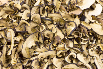 Detailed photos of dried mushrooms and boletus
