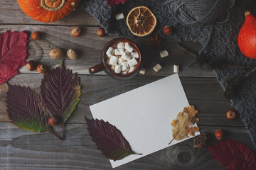 Cup of cacao with marshmallow, homemade autumn postcard, fall leaves, pumpkin and nuts on rustic wooden background