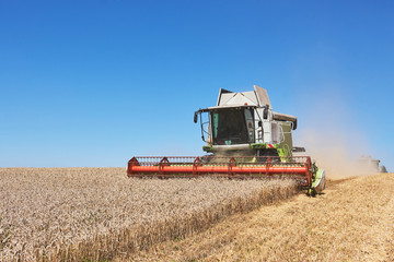 Fototapeta na wymiar A modern combine harvester working a wheat field