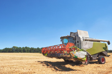 Obraz premium combine harvester working on a wheat field