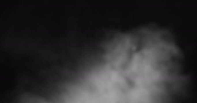 Alone at Night in the Forest - black-and white side-view camera shot of somebody terrified, breathing fast and bumpy - ProRes