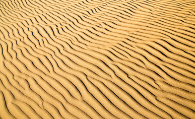 Sand in the desert as a background