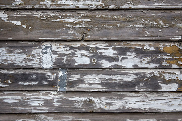 Vintage weathered shabby gray painted wood texture as background.