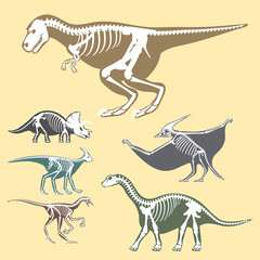 Obraz na płótnie Canvas Dinosaurs skeletons silhouettes set fossil bone tyrannosaurus prehistoric animal dino bone vector flat illustration.