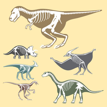 Dinosaurs Skeletons Silhouettes Set Fossil Bone Tyrannosaurus Prehistoric Animal Dino Bone Vector Flat Illustration.