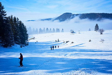 Ski resort, ski slope, ski lift, pine trees and fog mountains panorama
