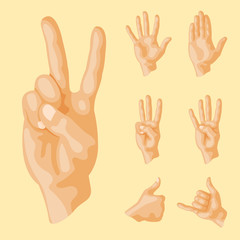 Fototapeta premium Hands deaf-mute different gestures human arm people communication message vector illustration.
