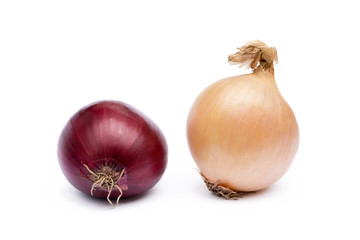 Fototapeta premium Fresh onion isolated on a white background 