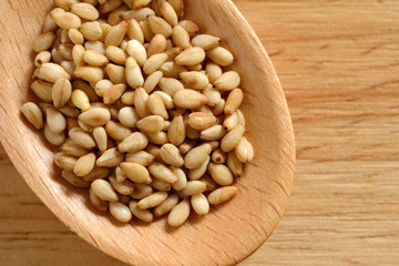 ゴマ　木製のスプーン

