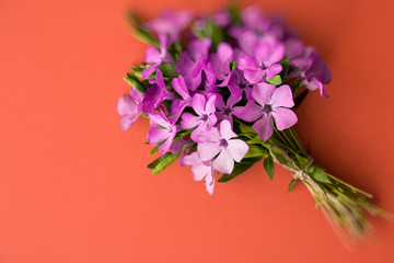 Vinca - flower bouquet. heart shape note Romantic date, invitation, sweet wish concept. space for text 