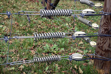 Fence Recinto electrified Zaun elettrificato Valla elettrico Cerca electrificada eletrificada elektrifizierter Clôture électrifiée Ogrodzenie zelektryfikowane Geëlektrificeerde hek Villámzott kerítés © Comugnero Silvana